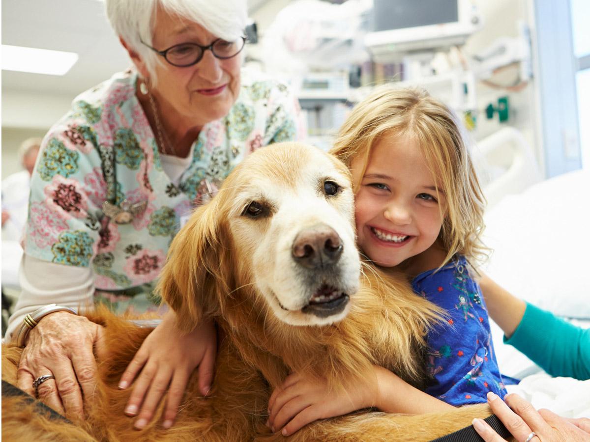 Cani in pediatria, un progetto di pet therapy - Bimbi Sani e Belli