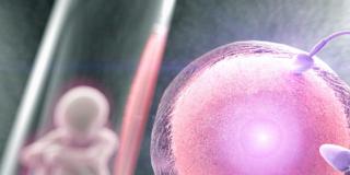 Fecondazione assistita, una proteina indica il successo della terapia