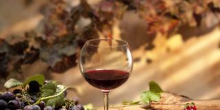 Dimagrisci con i frutti di bosco e il vino rosso