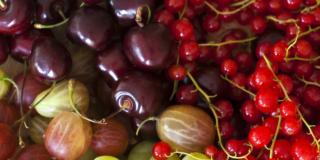 Più salute con i colori della dieta mediterranea