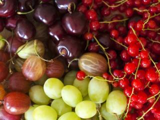 Più salute con i colori della dieta mediterranea