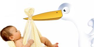 Sesso tutti i giorni, cicogna più vicina?