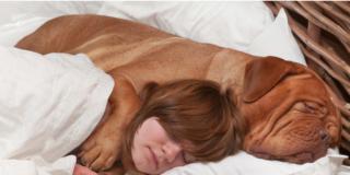 Sonno: migliora se dormi con un animale