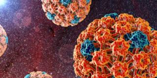 Papillomavirus e sesso orale: più rischi di tumore orofaringeo?