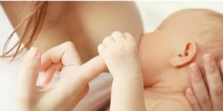 Latte materno: previene le malattie e fa bene al cervello