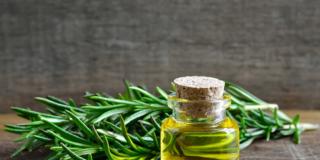 Rosmarino: protegge dal cancro?