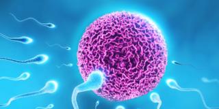 Pillola unisex: basta bloccare lo spermatozoo!