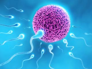 Pillola unisex: basta bloccare lo spermatozoo!
