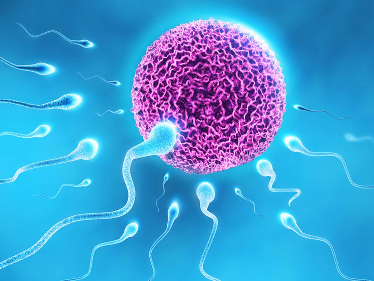 Pillola unisex: basta bloccare lo spermatozoo! 