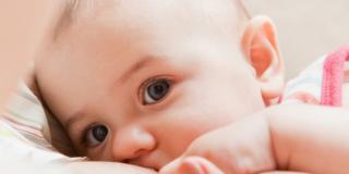 Allattamento: il latte materno è unico e inimitabile