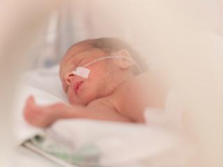 Prematuri: un aiuto dalla placenta artificiale