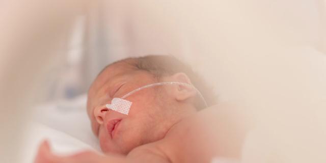 Prematuro: ajuda da placenta artificial