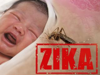 Virus Zika: in gravidanza è davvero pericoloso