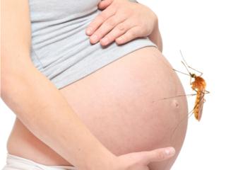 Virus Zika in gravidanza: non solo microcefalia