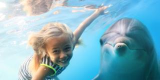 Alla scoperta del Santuario dei Cetacei