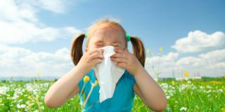 Allergie: più facile “smascherare” quelle nascoste