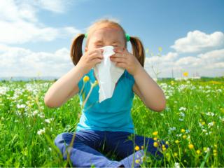 Allergie: più facile “smascherare” quelle nascoste