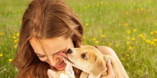Pet therapy contro lo stress