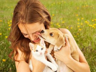 Pet therapy contro lo stress