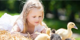 Siena for kids: una città a misura di bambino