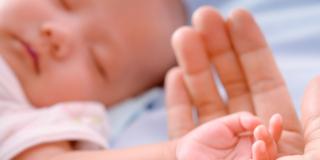 Zika, nei neonati trovati nuovi danni neurologici