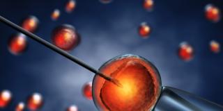 Fecondazione assistita: più speranze con il social freezing