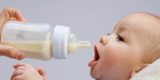 Latte d’asina per i bimbi allergici a quello di mucca