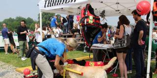 Al via la prima tappa di Quattrozampeinfiera