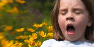 Rinite allergica: la cura resta lunga