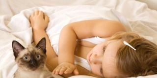 Inquinamento indoor, problemi alla tiroide