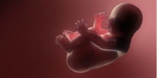 Spina bifida operabile già in utero?