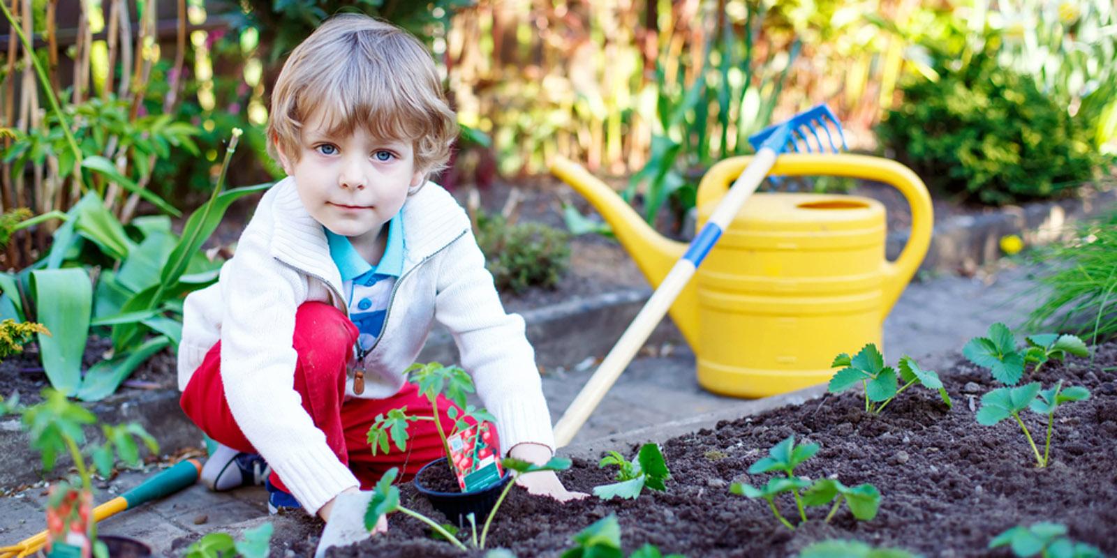 В саду гудят. Огород для детей. Грядка для детей. Труд детей на участке. Труд на участке с детьми , посадка цветов.