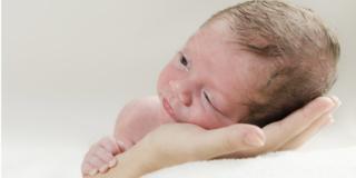 Utero artificiale per i neonati prematuri?