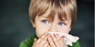 Muffe nel 20-40% delle case: allarme allergie