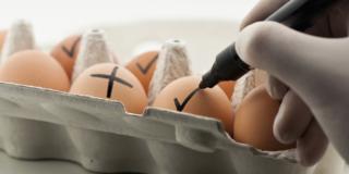 Uova contaminate con il Fipronil: possiamo stare tranquilli?