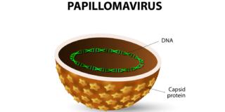 Dna del Papilloma virus: identifica subito il cancro al collo dell’utero