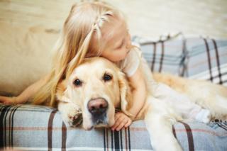 Asma ed eczema allergico: una cura… da cani
