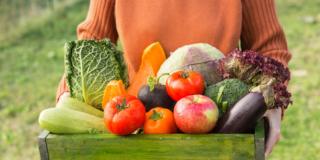 Dieta bio depura l’organismo dai pesticidi?