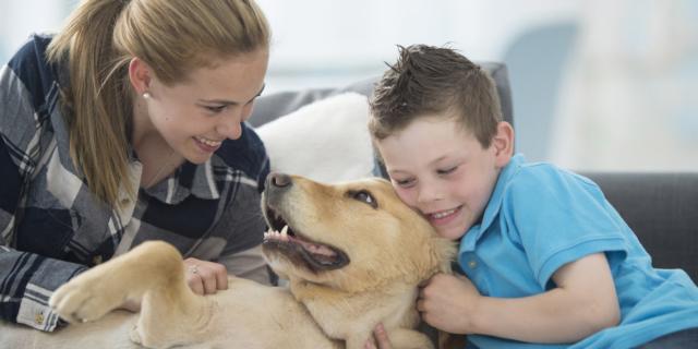 Cane in casa, stress addio