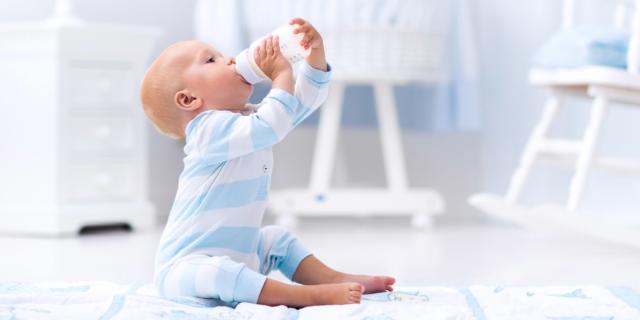 Primeiros 6 meses de vida: sem água, só leite Primeiros 6 meses de vida: sem água, só leite