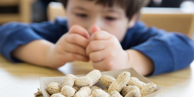 Allergia alle arachidi: la soluzione in una pillola?