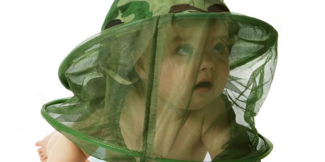 Zanzara killer: allarme in Europa