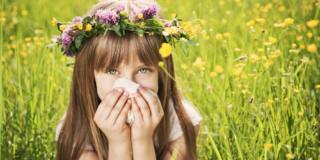 Allergie ai pollini: come sopravvivere alla primavera