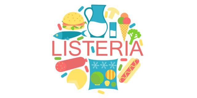 Allarme listeria: bisogna preoccuparsi?