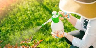 Glifosato: pesticida pericoloso per i bambini?