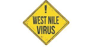 Febbre West Nile: 10 domande all’esperto