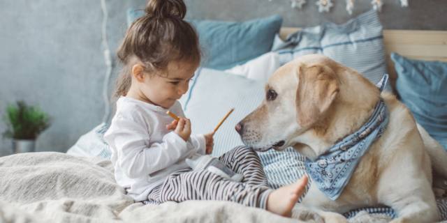 Con un amico a quattro zampe meno soli e più in salute