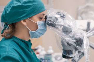 IMI-EDN-dentista-al-microscopio