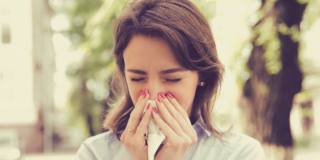 Allergie respiratorie: colpiti 12 milioni di italiani