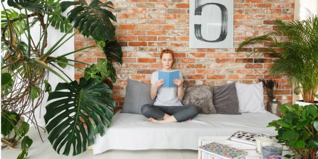 Pelle secca? Un aiuto dalle piante d’appartamento